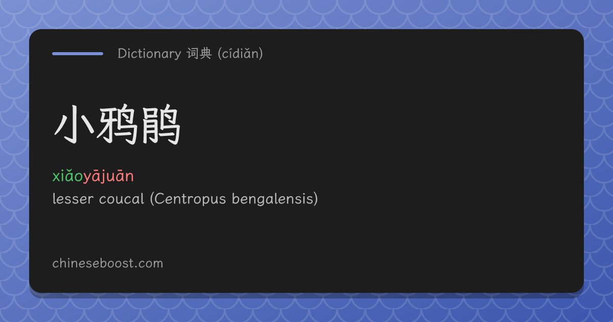小鸦鹃(xiǎoyājuān) lesser coucal | Chinese dictionary